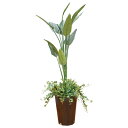 【取寄品】 フェイクグリーン 光触媒 ストレチア寄植 165cm 【 人工観葉植物 インテリアグリーン 消臭 抗菌 】