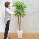 【取寄品】 フェイクグリーン 光触媒 ブナ 170cm 【 人工観葉植物 消臭 抗菌 インテリアグリーン 】
