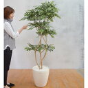 【取寄品】 フェイクグリーン 光触媒 トネリコ 178cm 【 インテリアグリーン 消臭 抗菌 人工観葉植物 】