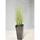 【取寄品】 フェイクグリーン 光触媒 ゼブラグラス 120cm 【 インテリアグリーン 人工観葉植物 消臭 抗菌 】