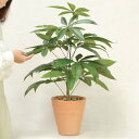 【取寄品】 フェイクグリーン 光触媒 パキラ 70cm 【 消臭 抗菌 人工観葉植物 インテリアグリーン 】