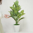 【取寄品】 フェイクグリーン 光触媒 ゼブラ 67cm 【 インテリアグリーン 消臭 抗菌 人工観葉植物 】