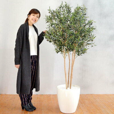 【取寄品】 フェイクグリーン 光触媒 オリーブ 170cm 【 果樹木 抗菌 インテリアグリーン 人工観葉植物..