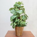 【取寄品】 フェイクグリーン 光触媒 ポトス 73cm 【 インテリアグリーン 人工観葉植物 】