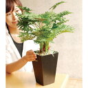 【取寄品】 フェイクグリーン 光触媒 スプリットフィロ 53cm 【 抗菌 消臭 インテリアグリーン 人工観葉植物 】