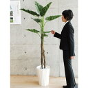 【取寄品】 フェイクグリーン 光触媒 エレファント 180cm 【 抗菌 インテリアグリーン 人工観葉植物 消臭 】
