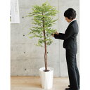【取寄品】 フェイクグリーン 光触媒 ゴールデンリーフ 175cm 【 インテリアグリーン 消臭 抗菌 人工観葉植物 】