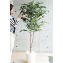 【取寄品】 フェイクグリーン 光触媒 ドングリ 170cm 【 インテリアグリーン 果樹木 消臭 抗菌 人工観葉植物 】