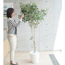 【取寄品】 フェイクグリーン 光触媒 ヤマモモ 180cm 【 抗菌 人工観葉植物 インテリアグリーン 消臭 】