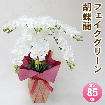 フェイクグリーン光触媒胡蝶蘭7本立白85cm