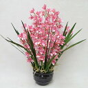 【取寄品】 フェイクグリーン 光触媒 シンビジューム12本立 ピンク 87cm 【 抗菌 アートフラワー インテリアフラワー 造花 人工観葉植物 消臭 フェイク...
