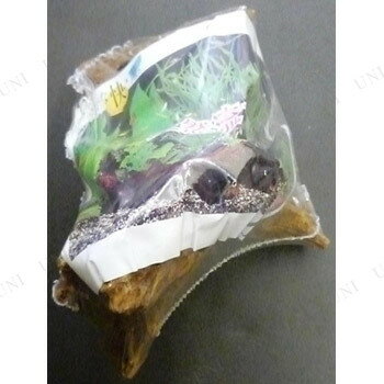ペットグッズ ペット用品 飼育用品 アクアリウム用品 流木 アクアリウム内装 アクセサリー 水槽用具 ペットグッツ マレーシア 小 コンビ 天然流木 Kb 53 レイアウト用品 代引不可 枝 水槽用品 装飾品 ペットグッズ ペット用品 飼育用品 アクアリウム用品 流木 アクアリウム内装 アクセサリー 水槽用具 ペットグッツ マレーシア 小 コンビ 天然流木 Kb 53 レイアウト用品 代引不可 枝 水槽用品 装飾品