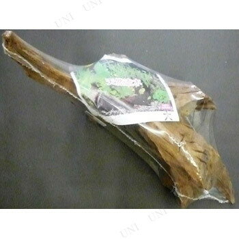 枝 水槽用品 アクアリウム内装 飼育用品 流木 ペットグッツ 装飾品 ペットグッズ アクアリウム用品 レイアウト用品 大 アクセサリー マレーシア シュリンクkb 56 ペット用品 水槽用具 受注生産品 枝 水槽用品 アクアリウム内装 飼育用品 流木 ペットグッツ 装飾品 ペットグッズ アクアリウム用品 レイアウト用品 大 アクセサリー マレーシア シュリンクkb 56 ペット用品 水槽用具 受注生産品