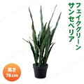 フェイクグリーン 76cm サンセベリア