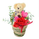 【取寄品】 Thanks Mother's Day!母の日 プリザーブドフラワーアレンジメント PV-1202 【 贈り物 枯れない プレゼント フラワーギフト...