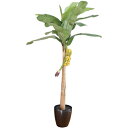 【取寄品】 フェイクグリーン 光触媒 バナナ 240cm 【 果樹木 抗菌 大きい 消臭 人工観葉植物 インテリアグリーン 】