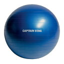 【取寄品】 CAPTAIN STAG(キャプテンスタッグ) Vit Fit フィットネスボール 直径55cm ブルー UR-860 【 美容グッズ エクササイズボール 健康グッズ トレーニング ダイエット 】