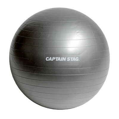 【取寄品】 CAPTAIN STAG(キャプテンスタッグ) Vit Fit フィットネスボール 直径55cm シルバーホワイト..