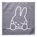 【取寄品】 Dick Bruna マイクロファイバーふきん 30×30cm 3枚セット ほおづえミッフィー 【 台所用品 キッチン雑貨 キッチン用雑貨 水まわり...
