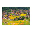【取寄品】 ジグソーパズル 1000ピース コスモスゆれる白川郷 【 巣ごもりグッズ 風景 おもちゃ 室内遊び 玩具 オモチャ 】
