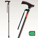 【取寄品】 CTS伸縮杖 【 福祉用品 つえ 介護用品 】