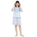 【取寄品】 SAZAC(サザック) 見上げてシナモロールTスーツ スカイブルー レディスM 【 大人用 ファッション キャラクター 女性用 寝間着 レディース サンリオ 寝巻き ルームウェア パジャマ 部屋着 】