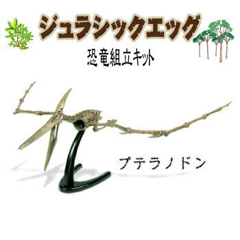 【商品説明】プテラノドンのジュラシックエッグ。恐竜の卵を開けると、中から恐竜の骨格が！骨格を組み立てると、リアルな恐竜が出現！！【セット内容】・ジュラシックエッグ×1【サイズ】・組立時：幅約18cm×高さ約15cm×奥行約52cm・卵：直径約6.5cm×高さ約19cm※サイズはあくまで目安です【仕様】・対象年齢：6歳以上【材質】・ABS【生産国】・中国【JANコード】・4958753015054※掲載画像のデザインや仕様は予告なく変更される場合がございます※生産ロット(時期)によっては、多少色味が異なる場合がございます【キーワード】おもちゃ,玩具,オモチャ,フィギュア,人形,標本,模型,組み立てキット,製作,グッズ,ジュラシックエッグ プテラノドン,22377skey 4958753015054ジュラシックエッグ プテラノドン 商品説明プテラノドンのジュラシックエッグ。恐竜の卵を開けると、中から恐竜の骨格が！骨格を組み立てると、リアルな恐竜が出現！！セット内容・ジュラシックエッグ×1サイズ・組立時：幅約18cm×高さ約15cm×奥行約52cm・卵：直径約6.5cm×高さ約19cm※サイズはあくまで目安です仕様・対象年齢：6歳以上材質・ABS生産国・中国JANコード・4958753015054※掲載画像のデザインや仕様は予告なく変更される場合がございます※生産ロット(時期)によっては、多少色味が異なる場合がございます シリーズ商品