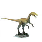 【取寄品】 Jurassic Acition (ジュラシックアクション) コエロフィシス 【 玩具 恐竜 オモチャ おもちゃ 人形 動く アクションフィギュア 】