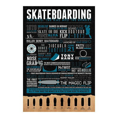 【取寄品】 Skateboarding ポスター 【 インテリア雑貨 】