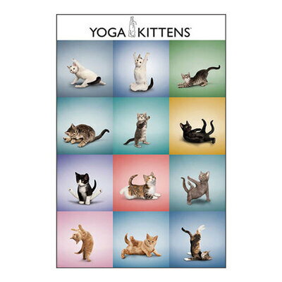 【取寄品】 Yoga Kittens Grid ポスター 【 動物 インテリア雑貨 アニマル 】