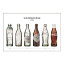 【取寄品】 コカ・コーラ ポスター bottle evolution II 【 コカコーラ Coca-Cola インテリア雑貨 】