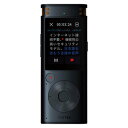 【取寄品】 AIライティングレコーダー VOITER SR302PRO 【 生活家電 ボイスレコーダー ICレコーダー 電化製品 】