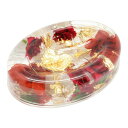 【取寄品】 アクリル水中花 ソープディッシュ レッド 58719 【 バス用品 石鹸 お風呂グッズ お風呂用品 ホルダー 石けん置き 】