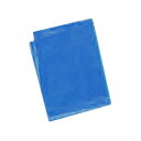 【取寄品】 カラービニール袋(10枚組) 青 【 勉強 学校教材 小学生 】