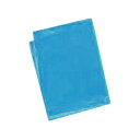 【取寄品】 カラービニール袋(10枚組) 水色 【 勉強 学校教材 小学生 】