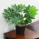 人工観葉植物 ミニヤツデ 45cm 【 観葉植物 小さい フェイクグリーン ミニ ミニサイズ ミニ観葉植物 インテリアグリーン 】
