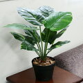 人工観葉植物 ポトス 50cm
