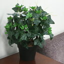 Funderful 人工観葉植物 アイビー ツル 50cm 【 観葉植物 小さい フェイクグリーン ミニ ミニサイズ ミニ観葉植物 インテリアグリーン 】