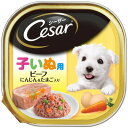 【取寄品】 6点セット シーザー 子犬用ビーフ にんじん＆たまご入り 100g 【 犬の餌 犬用品 ドッグフード ペットフード ウェットフード ペット用品 エサ ペットグッズ イヌ 】