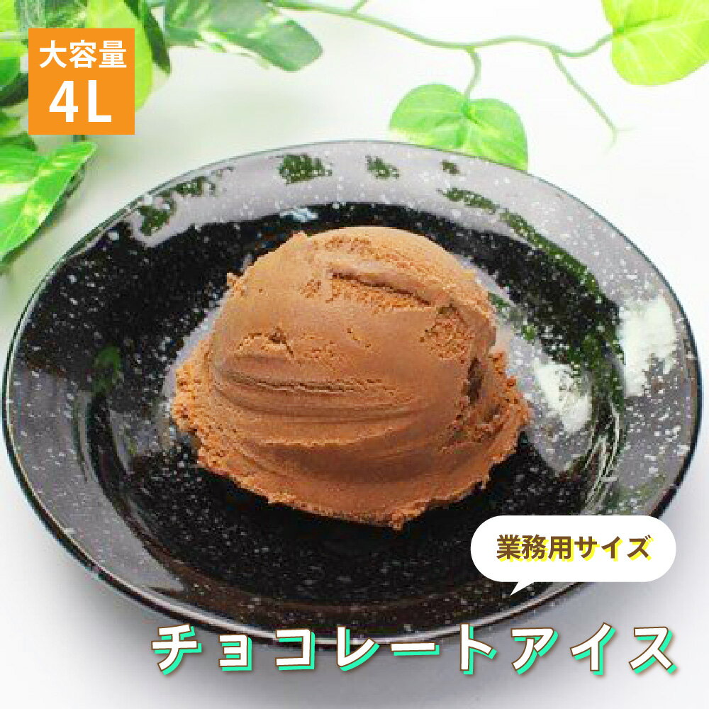 [条件付き送料無料] 森永乳業 チョコレート アイスクリーム 業務用 4リットル 4L 大容量 お買い得 スイーツ パーティー おうち時間 贅沢 お取り寄せ おやつ 子供 絶品 美味しい アレンジのサムネイル