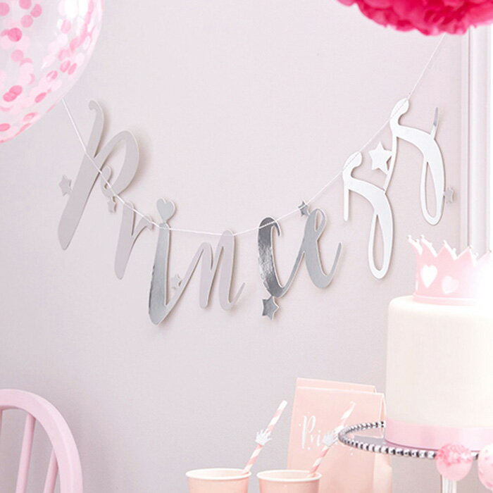 結婚式 飾り付け 【誕生日 パーティー 飾り】 プリンセス バックドロップ プリンセス【ジンジャーレイ】【ginger ray】【GGRPR-505】