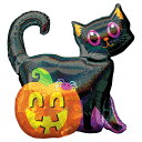 【お得バルーンパック】AG L-SHPブラックキャット&パンプキンホログラフィック ANG38139【5枚1パック】【メール便OK】