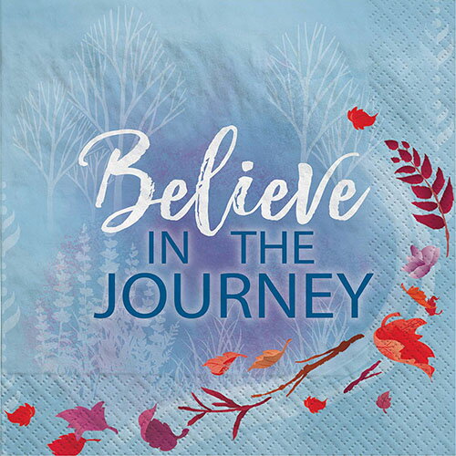 紙ナプキン【誕生日 パーティ— 飾り パーティーグッズ】PGビバレッジナプキン フローズン2 アナ雪 アナと雪の女王 エルサ アナPG502087