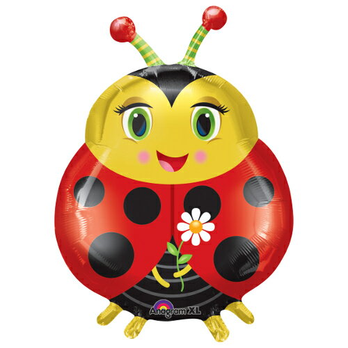 �ڤ����Х롼��ѥå���LSHP�����塼�ȥ�ǥ��Х�����5��1�ѥå���ANG26012�ڥ᡼����OK��