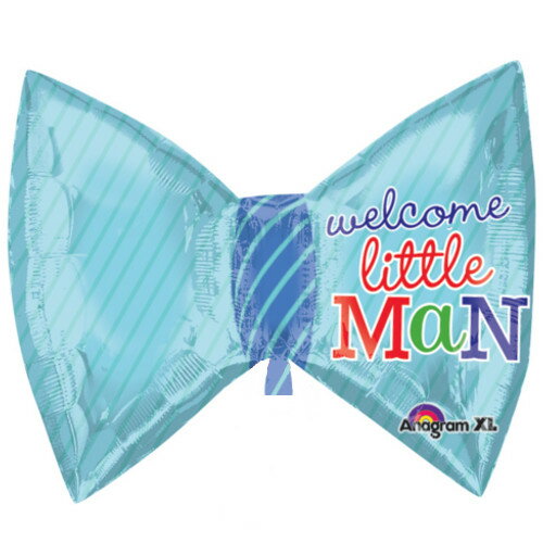 �ڤ����Х롼��ѥå���LSHP����ȥ�ץ�󥹥ܥ�������5��1�ѥå���ANG28811�ڥ᡼����OK��