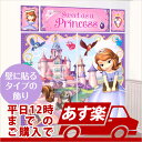 誕生日 パーティー 飾り! 誕生日パーティーグッズ プリンセスソフィア シーンセッター ソフィアザファースト pg671351 1パック