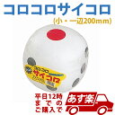 あす楽12時! コロコロサイコロ 小 1個【JIGEV77516】
