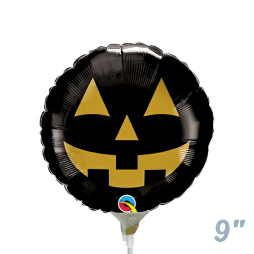 �ڥ��ƥ��å��Х롼�����ѥå��ۡ�10�������MF9