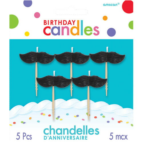 pgトゥースピックキャンドルマスターシュ#170118