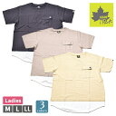 LOGOS Park ロゴスパーク Tシャツ 半袖 クルーネック トップス レディース 婦人 カットソー 吸汗速乾 クイックドライ フェイクレイヤード M-LL 5281-7662 【1点までメール便可】(4)